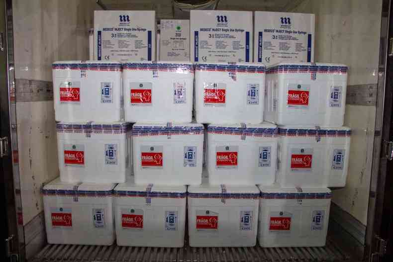 Minas recebeu 64.350 doses da vacina contra a COVID-19 da Pfizer. Carga ser enviada a 47 municpios com mais de 79 mil habitantes e condies de armazenar os produtos(foto: Fbio Marchetto/Agncia Minas)