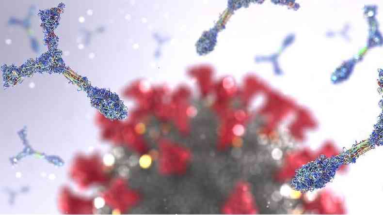 Ilustrao de anticorpos atacando um coronavrus