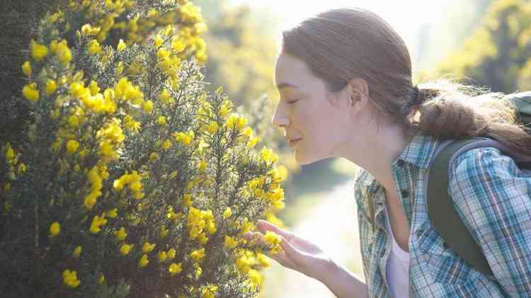 Mulher sentindo aroma de flores amarelas