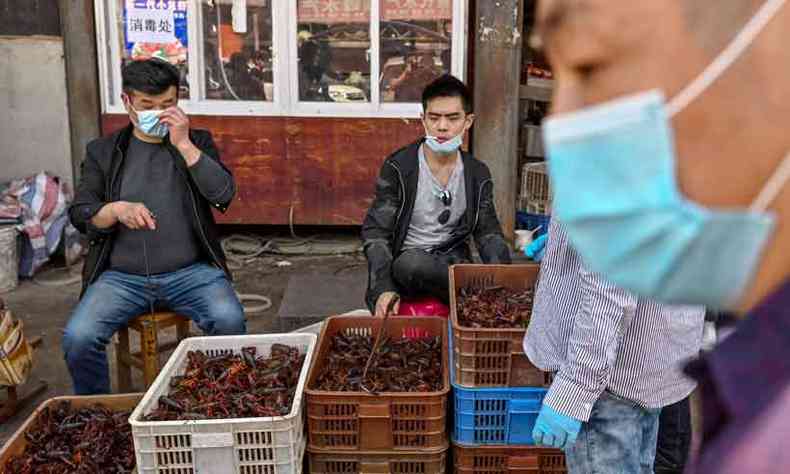 Os animais exticos comercializados no mercado de Baishazhou, em Wuhan, na China, seriam a origem do coronavrus(foto: Hector Retamal/AFP)