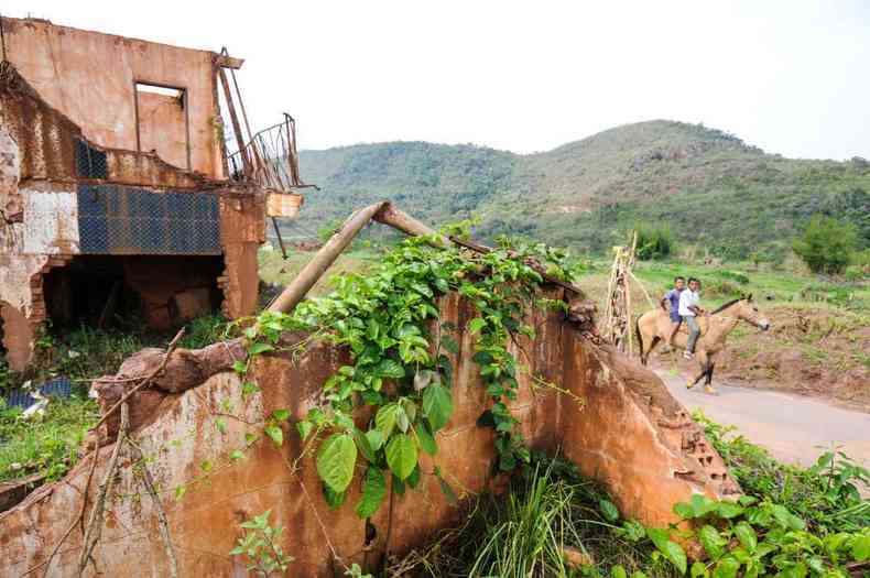 Distrito de Bento Rodrigues, devastado pela lama de rejeitos da barragem de Fundo, da mineradora Samarco(foto: Leandro Couri/EM/D.A Press)