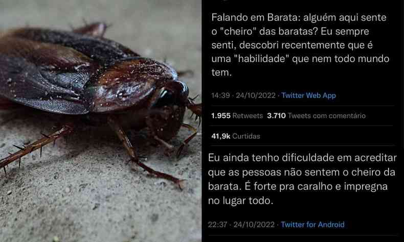 Barata e tweets 