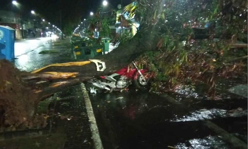 Moto destruda por rvore durante a chuva