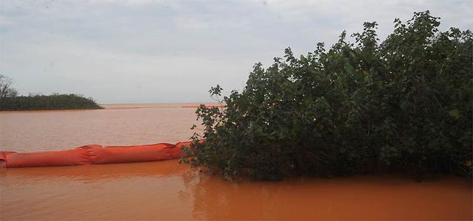 Boias não impedem que rejeitos atinjam berçários de espécies aquáticas(foto: Leandro Couri/EM/D.A Press) Boias não impedem que rejeitos atinjam berçários de espécies aquáticas(foto: Leandro Couri/EM/D.A Press)