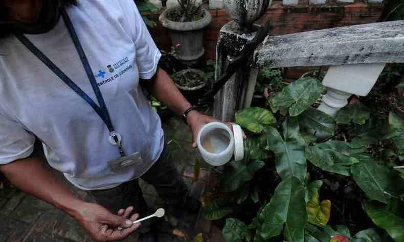 Agente de zoonoses verifica recipientes durante ao em BH: o controle de focos do Aedes aegypti  essencial para controlar a proliferao da dengue