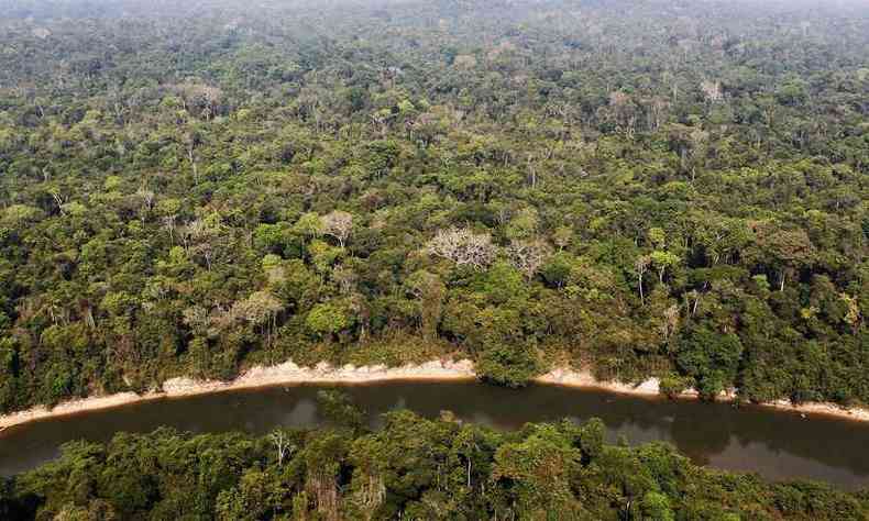 Grupos ambientalistas culpam Bolsonaro, dizendo que ele relaxou os controles sobre o desmatamento no pas(foto: Flickr)