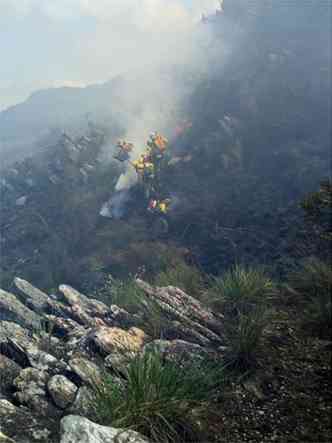 Na Serra do Cip, chamas consumiram 13,6% da rea do parque nacional(foto: ICMBio/Divulgao)