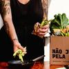 Higienização e armazenamento de vegetais: confira guia para o dia a dia