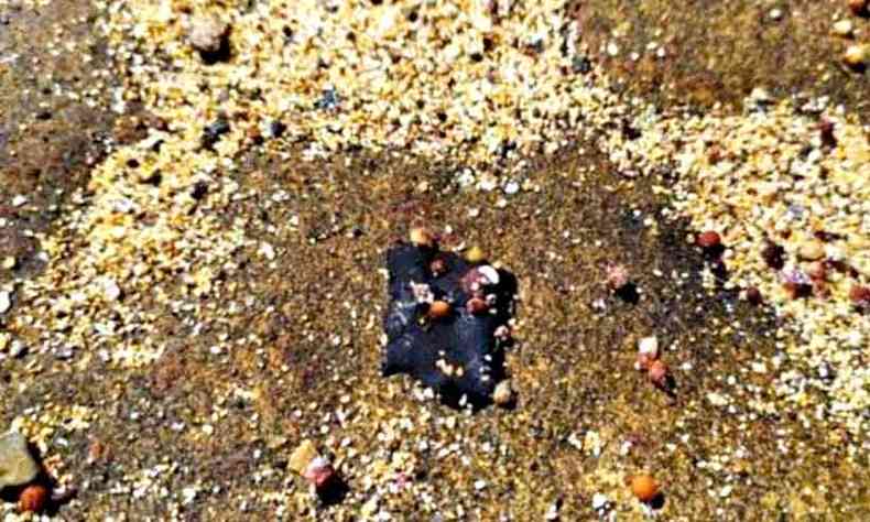 Fragmentos de petrleo so vistos na regio rica em biodiversidade(foto: Marinha/Divulgao)
