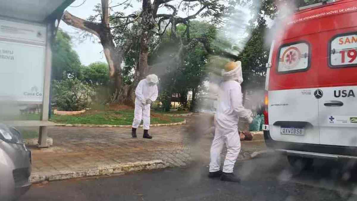 Idoso de 78 anos que andava a cavalo é atacado por abelhas e morre - Gerais  - Estado de Minas