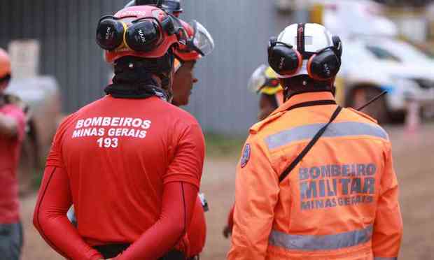 abelha#mata#cavalo#bombeiros