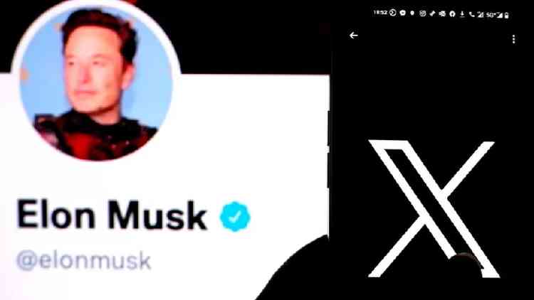 Musk's profile on X
