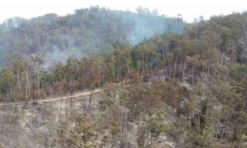 O fogo atingiu reas dos municipios de Ipatinga e Coronel Fabriciano