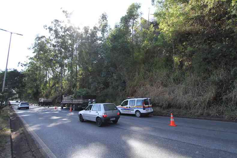 Caminhes desmate supresso de eucalptos der-mg