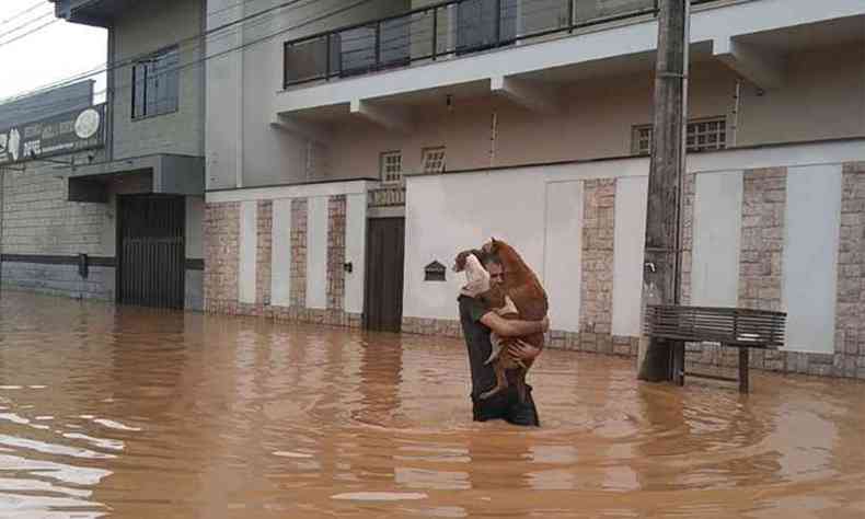 Em Machado, no Sul de Minas, foto de homem salvando dois ces na enchente viralizou (foto: Reproduo da internet/Facebook)