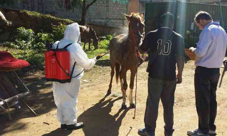 Cavalos esto recebendo banho de carrapaticida (foto: Paulo Filgueiras/EM/D.A.Press)