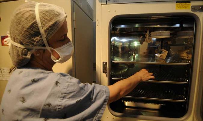 Processo de fertilização in vitro realizado no Hospital das Clínicas/UFMG(foto: Jair Amaral/EM/D.A Press - 23/10/13) Processo de fertilização in vitro realizado no Hospital das Clínicas/UFMG(foto: Jair Amaral/EM/D.A Press - 23/10/13)