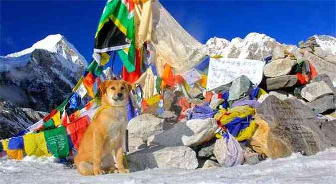 Rupee em um dos pontos de apoio na escalada do Everest(foto: AFP PHOTO/worldwooftour.com/Joanne Lefson)