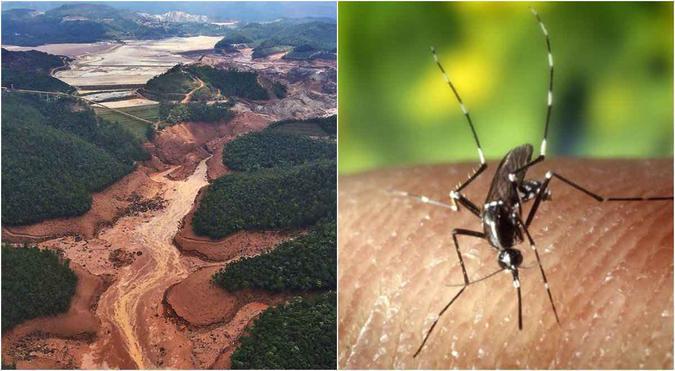(foto: Montagem sobre fotos de Divulgação) (foto: Montagem sobre fotos de Divulgação)