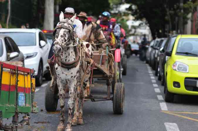Carroceiros saram pelas ruas de Belo Horizonte na tarde desta sexta-feiraAlexandre Guzanshe/EM/D.A.Press