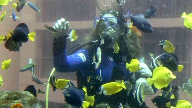 Uma mulher usando equipamento de mergulho no aqurio AquaDom, cercada por peixes coloridos