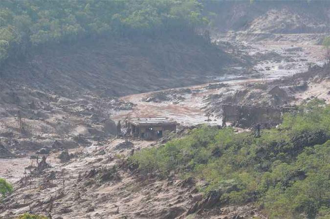 Com a ruptura da barragem, a comunidade de Bento Rodrigues, vegetação, margem e leito de rios foram tomados pela lama: inicialmente, foi descartado risco de material ser tóxico(foto: Gladyston Rodrigues/EM/D.A PRESS ) Com a ruptura da barragem, a comunidade de Bento Rodrigues, vegetação, margem e leito de rios foram tomados pela lama: inicialmente, foi descartado risco de material ser tóxico(foto: Gladyston Rodrigues/EM/D.A PRESS )