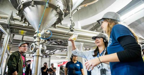 Curso para mulheres: ambev oferece bolsas de estudo no ramo cervejeiro