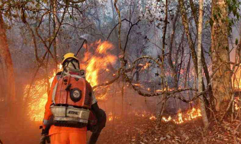 Bombeiros atenderam a mais de 700 incndios no feriado da Independncia