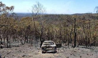 (foto: Brenton Edwards / AFP)