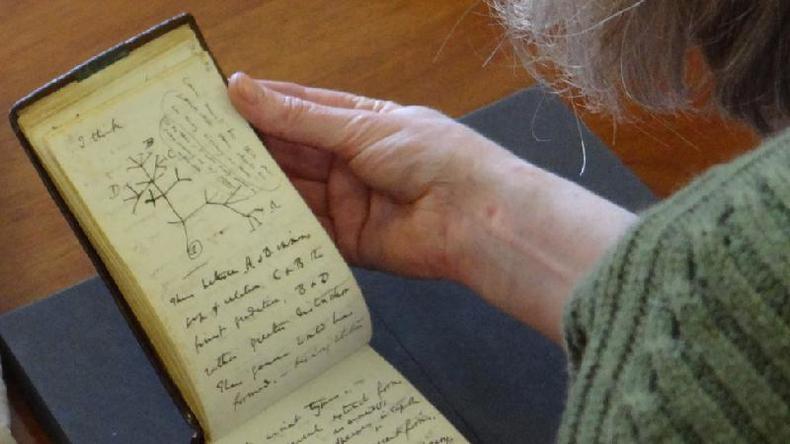 Jessica Gardner manuseando o bloco de Charles Darwin, aberto na pgina que mostra seu esboo da rvore da vida