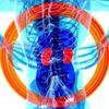 Cuidado com os rins: médica alerta sobre doenças e como preveni-las