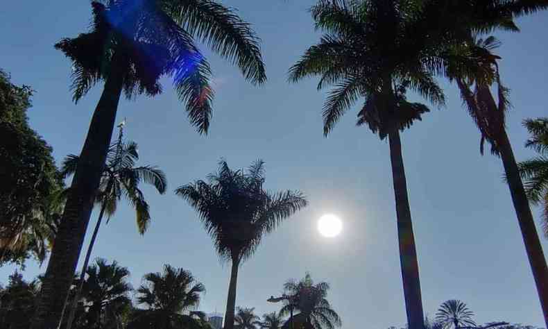 Clima: palmeiras em BH com sol ao centro 
