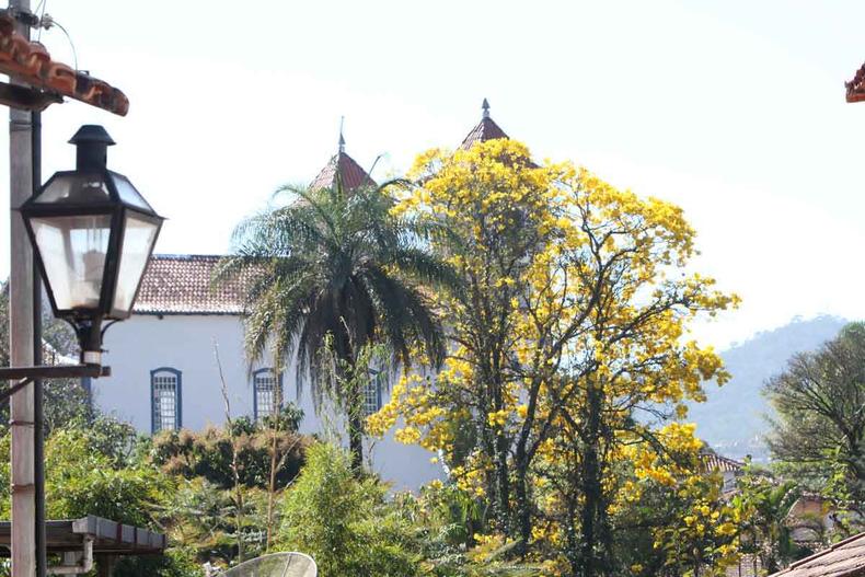 Em Sabar, a rvore se harmoniza com o patrimnio do perodo colonial 