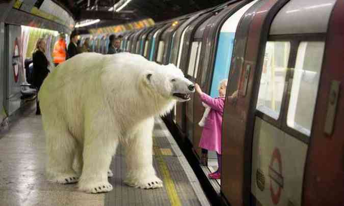 Urso 'passeou' pela ruas de Londres e foi at uma estao do metr da capital inglesa(foto: Twitter/Reproduo)