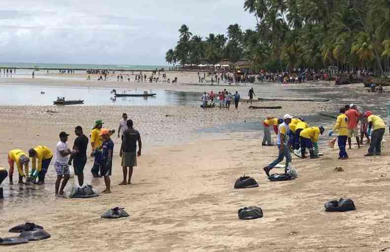 Moradores, turistas, pescadores e equipes de rgos do governo esto em mutiro para retirar o leo das praias (foto: Reproduo/Instagram)
