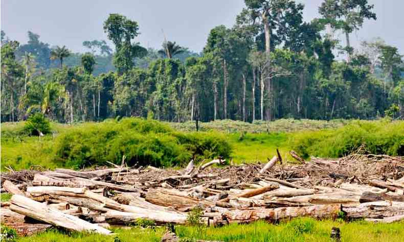 Espao desmatado no Mato Grosso: 85% da rea de floresta derrubada no teve autorizao para ocorrer (foto: Minervino Jnior/CB/D.A Press - 28/11/17)