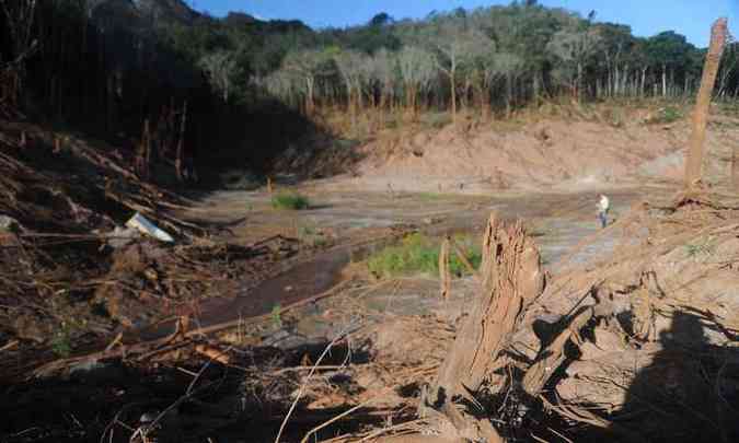 Rio Gualaxo do Norte ficou destrudo com a passagem da lama(foto: Leandro Couri/EM/D.A PRESS)