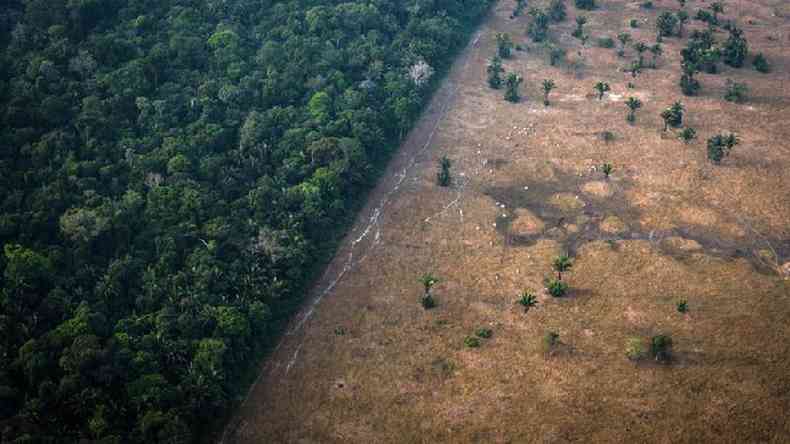 Imagem mostra parte da floresta em p e parte desmatada