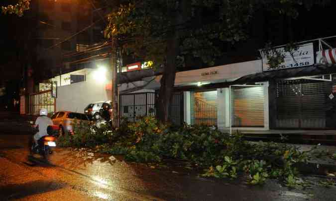 Ruas do Bairro Gutierrez tiveram quedas de partes de uma rvores durante a chuva desta noite(foto: Tlio Santos/EM/D. A. Press)