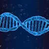 Cientistas ampliam conhecimento da genética humana; entenda
