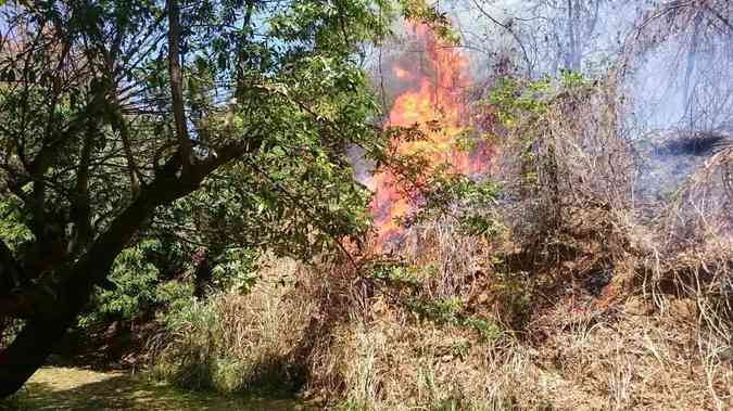 Incndio do Parque Guimares Rosa, no Norte de Minas, no est no balano do Instituto Estadual de Florestas (IEF)Mauro Miranda Ferreira
