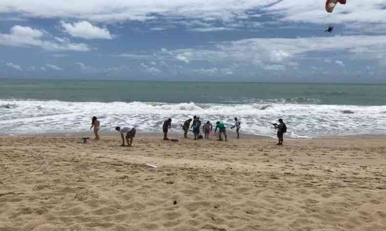 Um grupo de aproximadamente 40 voluntrios se rene, com apoio do Ibama, na praia de Maracape para retirar manchas de leo que chegam  areia (foto: Marcionila Teixeira/DP )