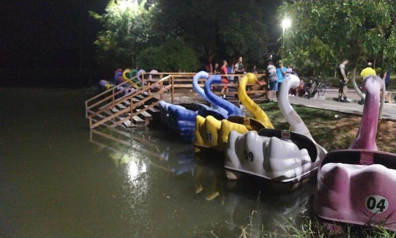 Vrios cisnes de transporte de inmeras cores em cima de uma lagoa da cor esverdeada 