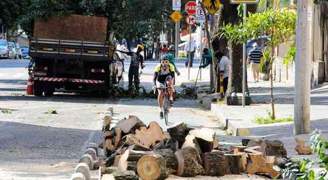 Gabriel Barros reclama de troncos na faixa exclusiva da Rua Piau