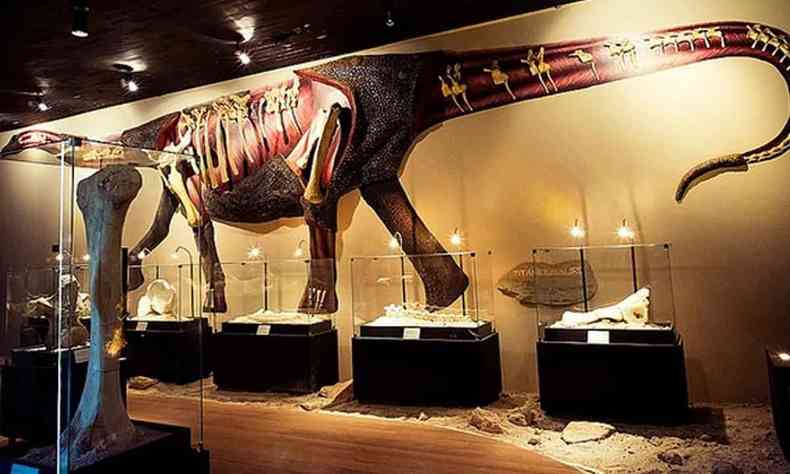 Exemplares de fósseis de dinossauro no Museu dos Dinossauros de Peirópolis