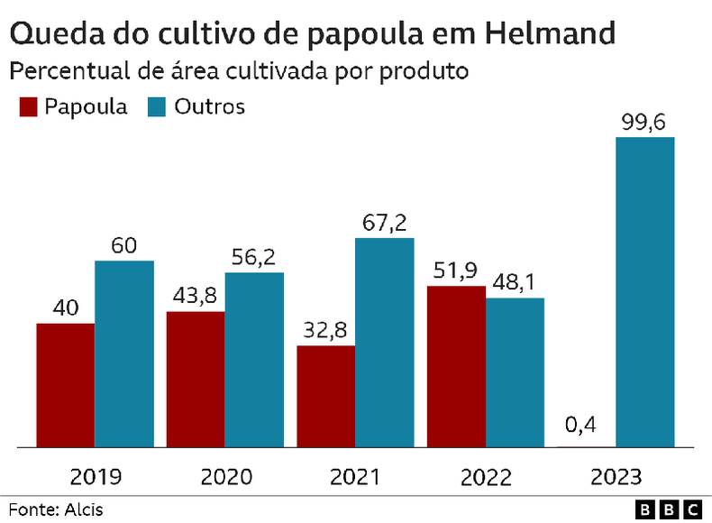 Grfico mostra queda do cultivo de papoula em Helmand de 2019 a 2023