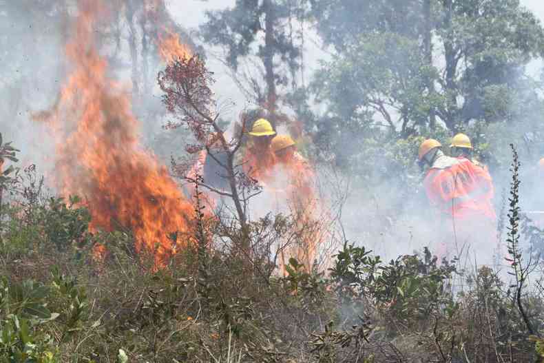 Novos soldados enfrentam fogo com coragem(foto: Edesio Ferreira/EM/D.A. Press)