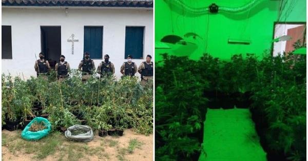  MG: ex-servidor público condenado por manter laboratório de drogas é preso 