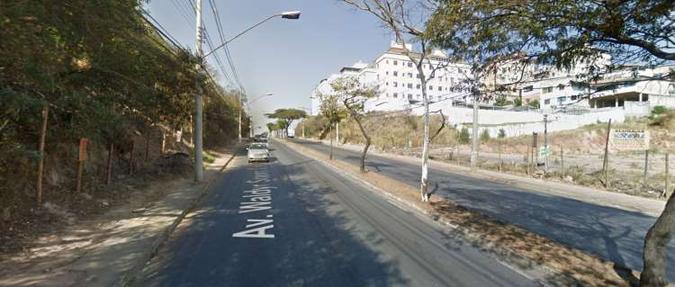 Motorista perdeu o controle da direção e atingiu uma árvore antes de capotar(foto: Google Street View/Reprodução) Motorista perdeu o controle da direção e atingiu uma árvore antes de capotar(foto: Google Street View/Reprodução)