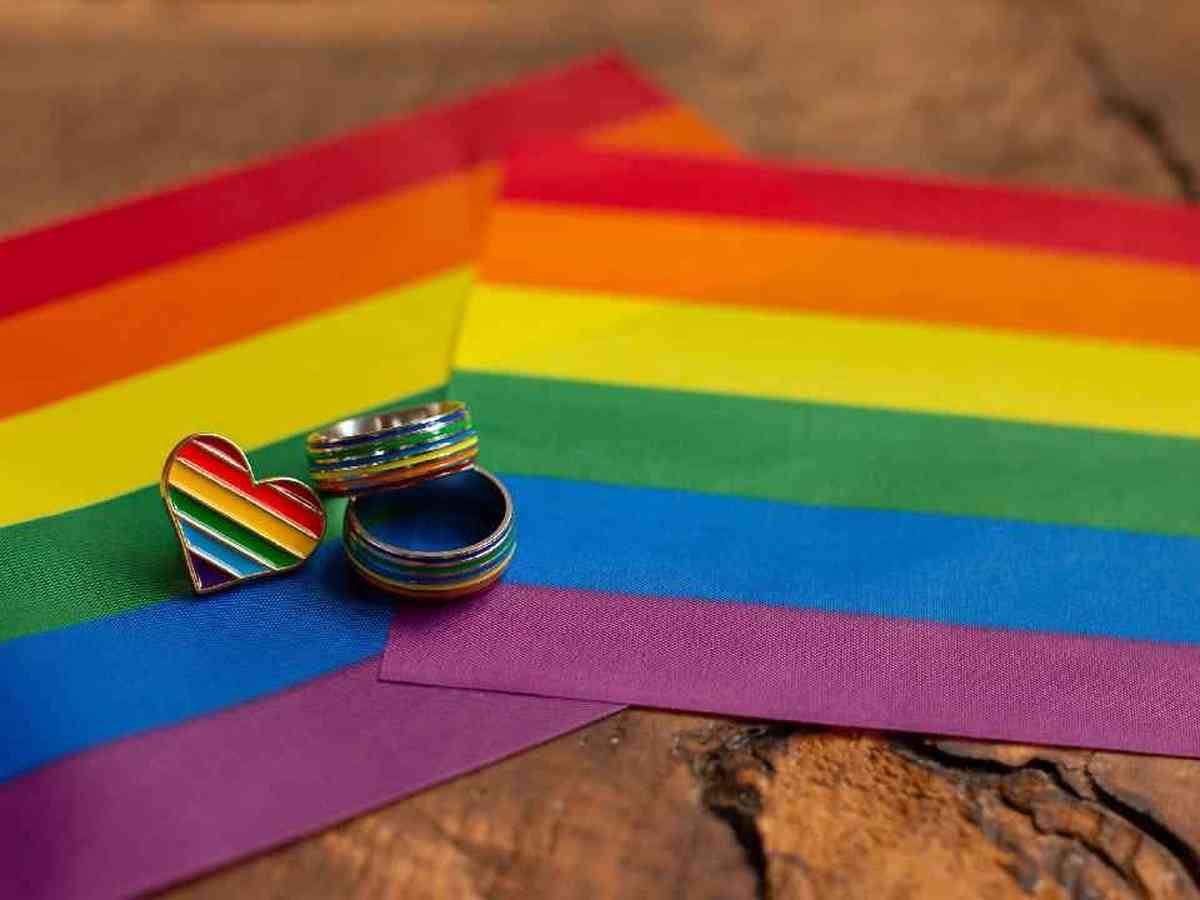 Você Consegue Identificar Todas Essas Bandeiras LGBT? Prove Agora